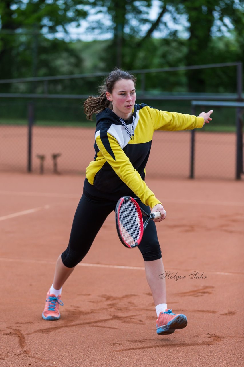 Bild 420 - NL VfL Westercelle - SVE Wiefelstede : Ergebnis: 8:1